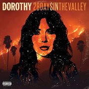 28 days in the valley cover image