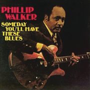 Someday you'll have these blues cover image