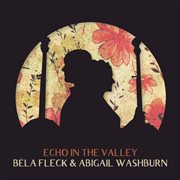 Echo in the valley cover image