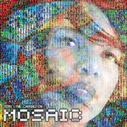 The mosaic project cover image
