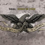 Divided we stand cover image