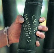 Bomboo Joints cover image