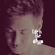 Life is like a dream cover image