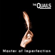 Master of imperfection cover image