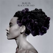 Black orchid cover image