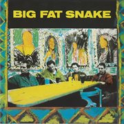 Big fat snake cover image