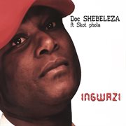 Ingwazi cover image