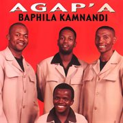 Baphila Kamnandi cover image