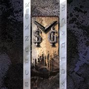 MSG cover image
