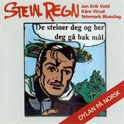 Stein regn cover image