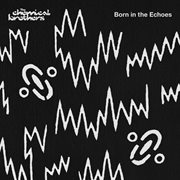 Born in the echoes cover image