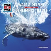 13: wale & delfine / geheimnis tiefsee cover image