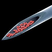 Live Blood cover image