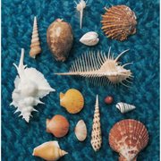 Cycle Hit 1991-1997 Spitz Complete Single Collection Cycle Hit 1991-1997 Spitz Complete Single Collection