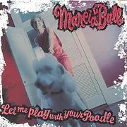 Let me play with your poodle cover image