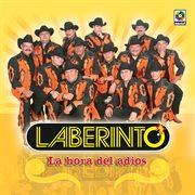 La hora del adiós cover image