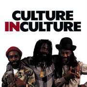 Culture in Culture cover image