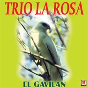 El gavilán cover image