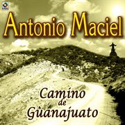 Camino de guanajuato cover image