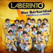 Qué barbaridad: corridos y rancheras cover image