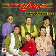 Puras rancheras cover image