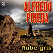 Nube gris cover image