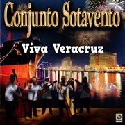 Viva veracruz cover image