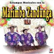 Estampas musicales con la marimba zandunga, vol. 3 cover image
