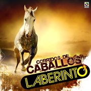 Corridos de caballos cover image