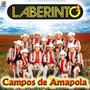 Campos de amapola cover image