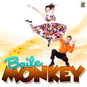 Baile monkey cover image