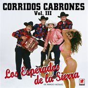 Corridos cabrones, vol. 3 cover image
