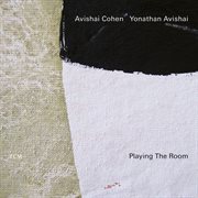 Playing the room cover image