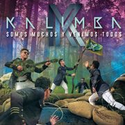 Somos muchos y venimos todos cover image