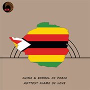 Hottest flame of love cover image