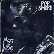 Meet the woo cover image