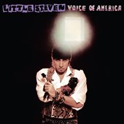 Voice of America cover image