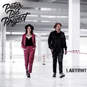 Labyrint cover image