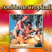 Colección de oro: ambiente tropical, vol. 3 cover image