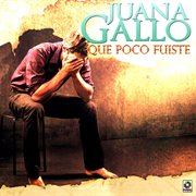 Qué poco fuiste cover image