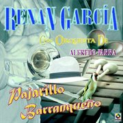 Pajarillo barranqueño cover image