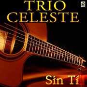 Sin tí cover image
