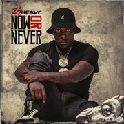 Now or never cover image