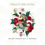 What's the levol cover image