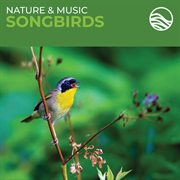 Nature & music: songbirds cover image