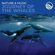 Nature & music: journey of the whales cover image