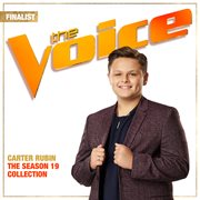 The season 19 collection [the voice performance] cover image
