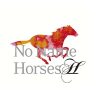 No name horses ii cover image
