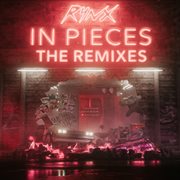In pieces cover image