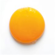 El oripandó cover image